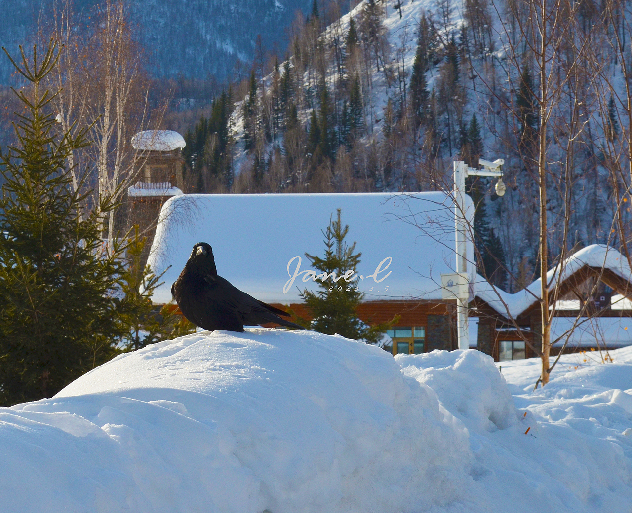 北疆之行,看雪的世界