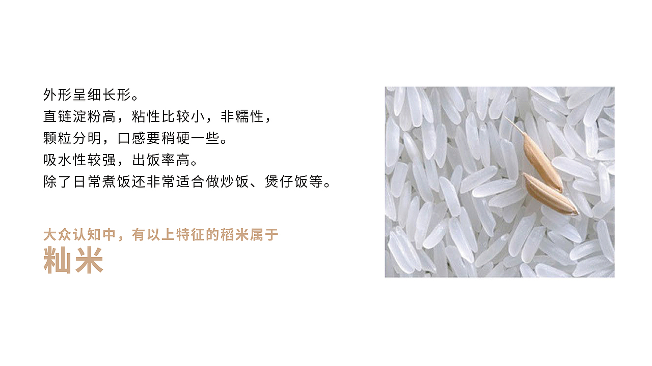 2021年稻本香提案（上半部）（图ZMzIyMjMxNTIw） - 品牌 - 站酷设计师JAYSONWANGdesign原创素材 - 站酷ZCOOL