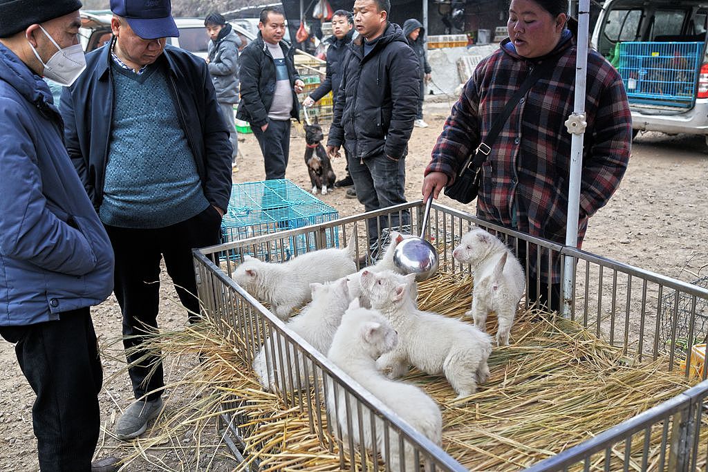 【贵州最大的露天集市——下司集】（图ZMzM2MTAxMDY0） - 人文/纪实摄影 - 站酷设计师子禾哥哥原创素材 - 站酷ZCOOL