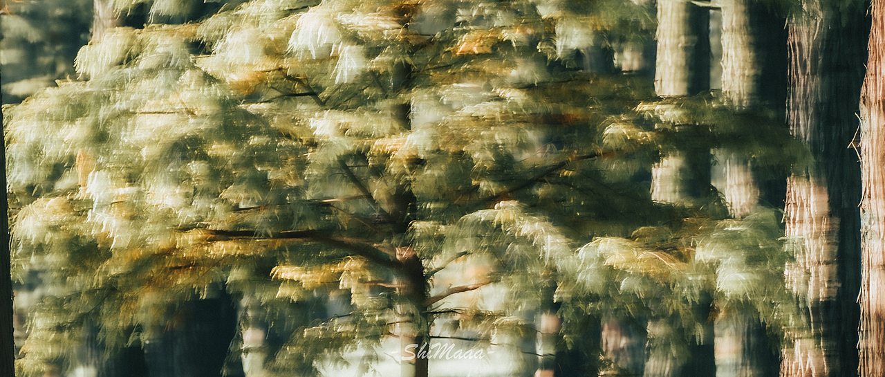 青西郊野公园｜富士xh2