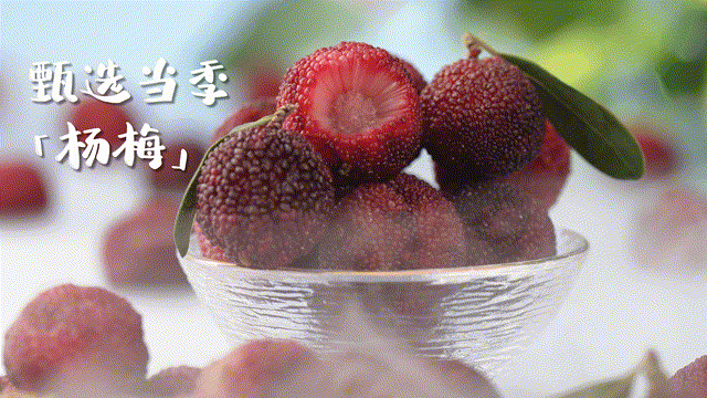餐食饮品 | 杨梅冰饮 x 奶茶饮料 x LIAOWO VISION