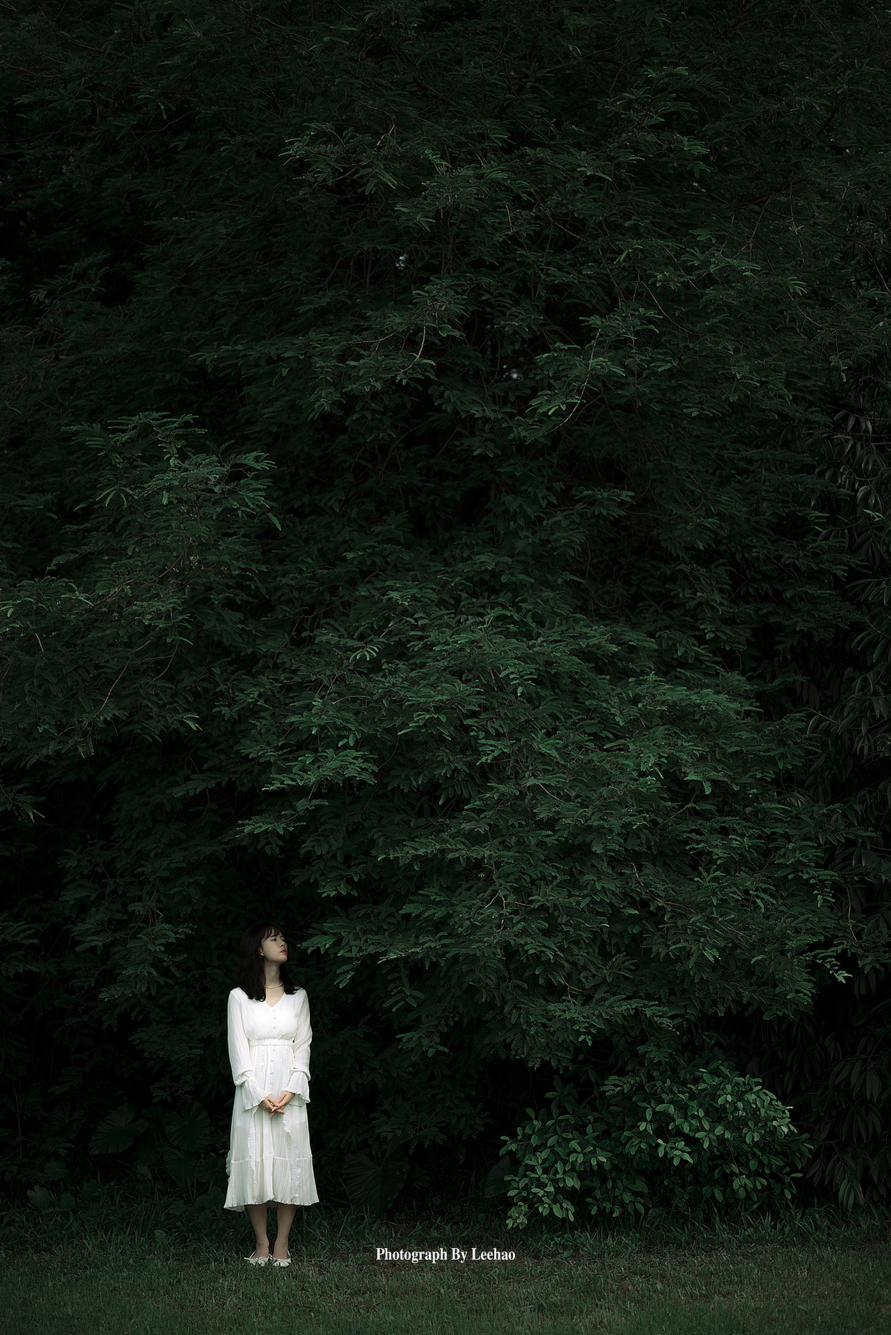 意（图ZMzUxMjQ3MzY4） - 人像摄影 - 站酷设计师摄影师九秒原创素材 - 站酷ZCOOL