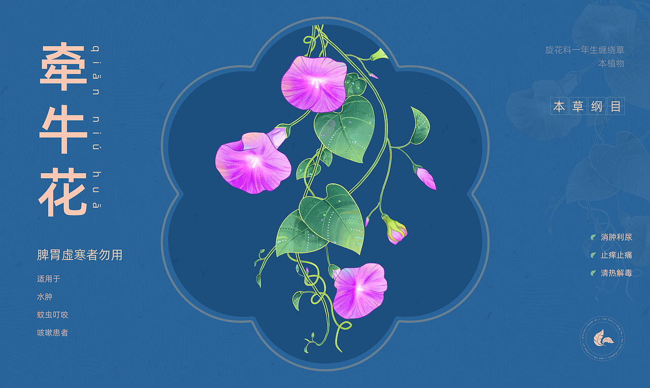 中药仙草集·壹（图ZMzY2OTQ5MTky） - 创作习作 - 站酷设计师苒色时光原创素材 - 站酷ZCOOL