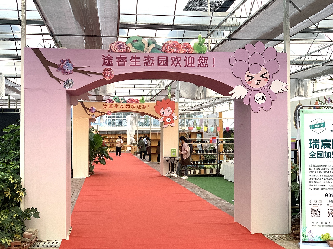 2020沭阳多肉展会视觉及造景设计全方案（图ZMzQ3NzYzNTk2） - 海报 - 站酷设计师一窝时光王飘飘原创素材 - 站酷ZCOOL