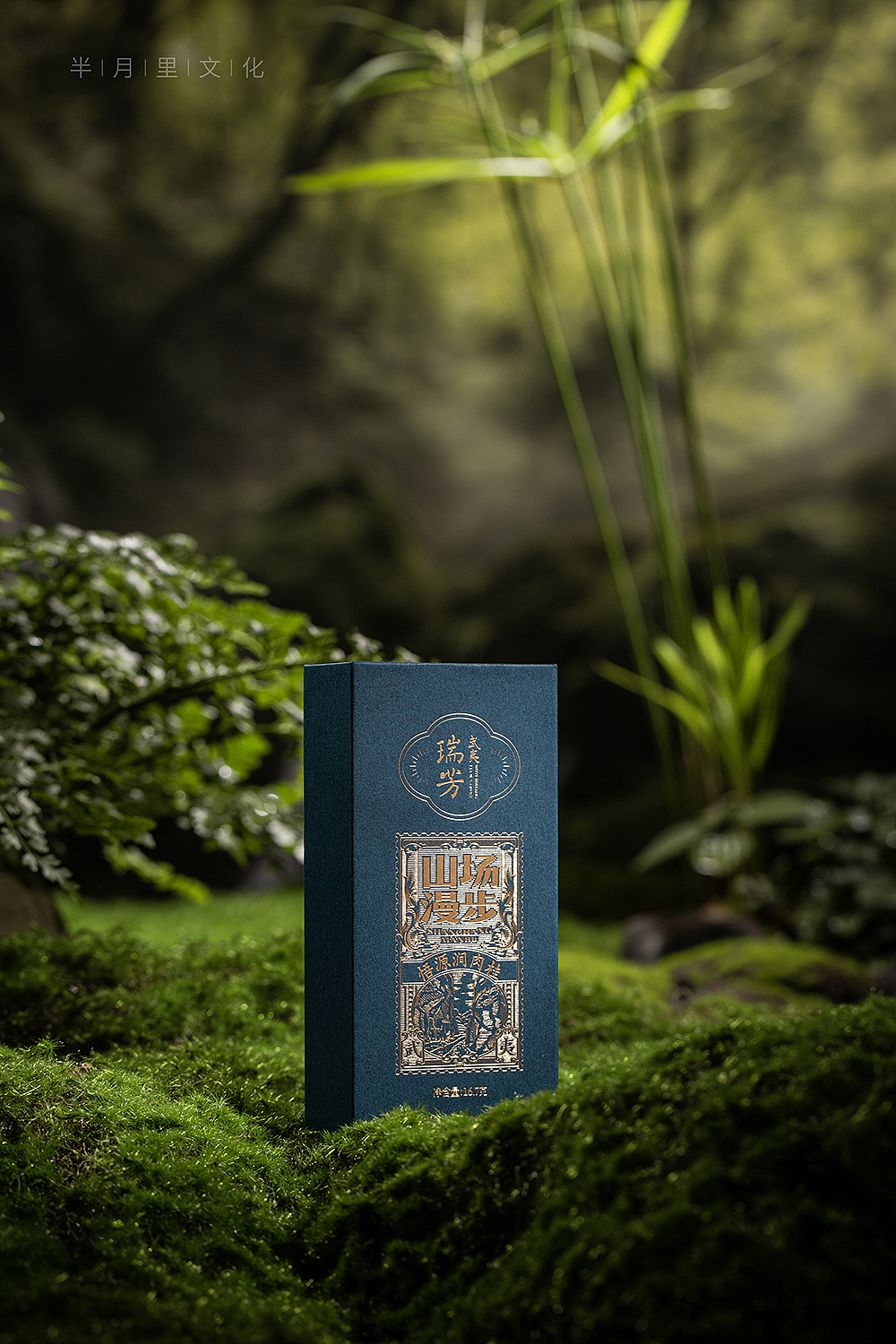 漫步山场--悟源涧肉桂