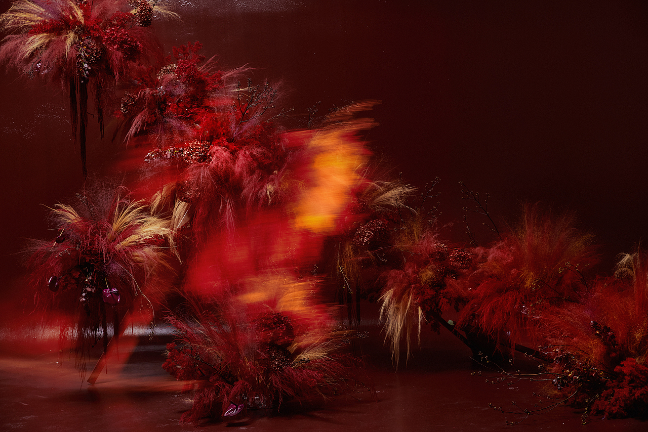 繁花似锦，双囍「观」新囍 | 星纳出品（图ZMzYxODcyMDI0） - 时尚/艺术摄影 - 站酷设计师星纳NIRVINA原创素材 - 站酷ZCOOL