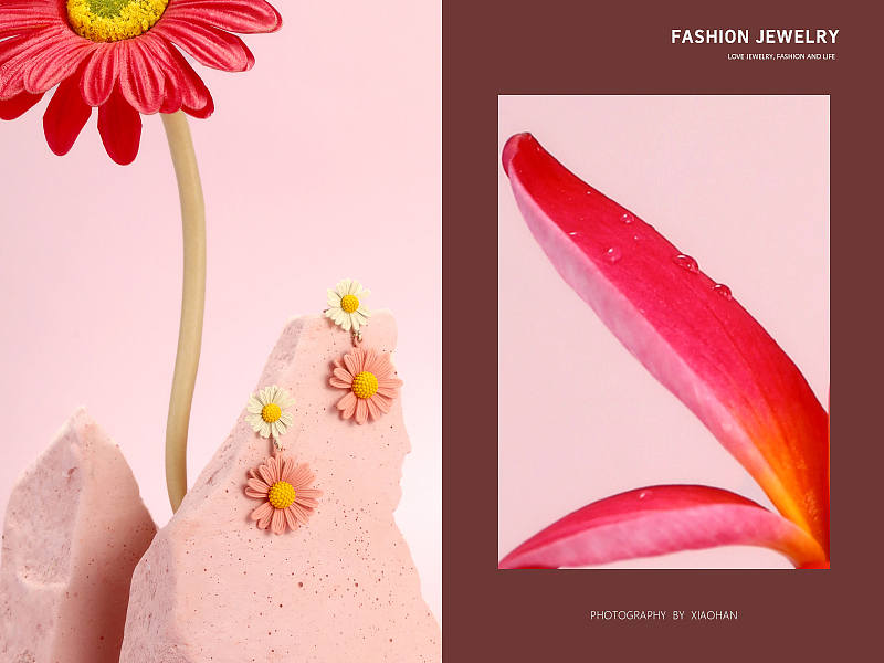 电商首饰拍摄 粉色底 小雏菊 耳钉蝴蝶胸针 项链 花朵