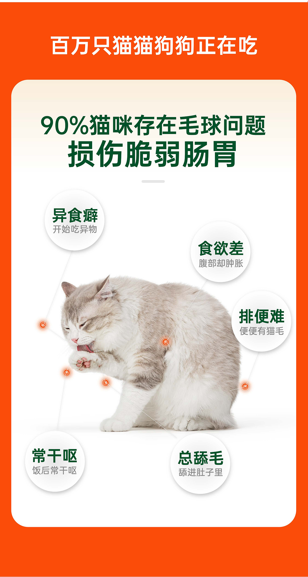 红狗营养品详情页策划设计