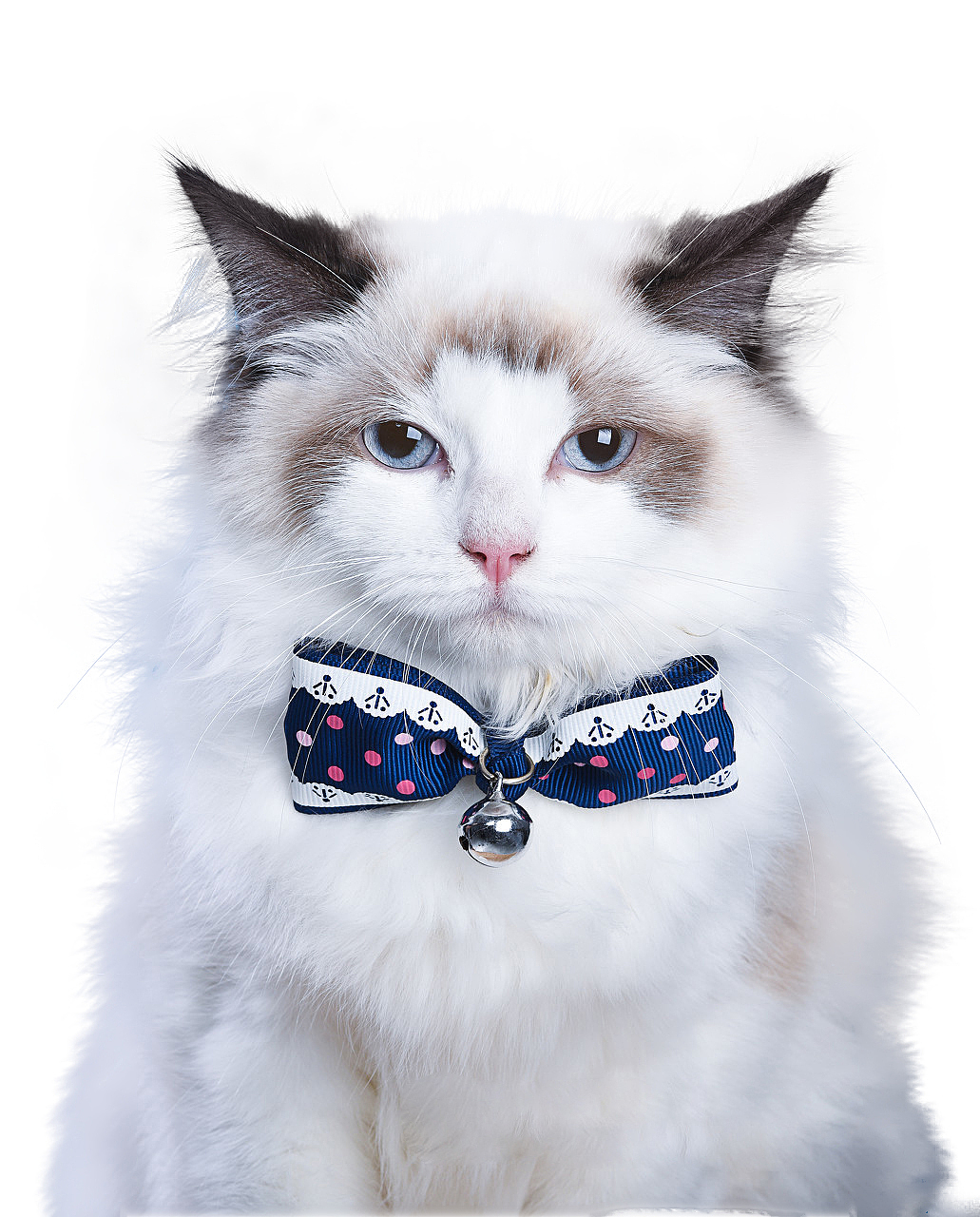 小小记录一下学习ps的那些日子第二篇小基础抠图😊