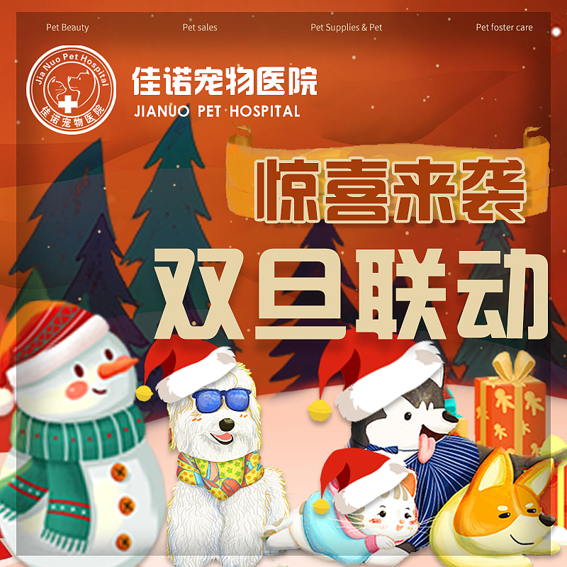 Christmas（图ZMzI5MDA0NzAw） - 品牌 - 站酷设计师植物主义原创素材 - 站酷ZCOOL
