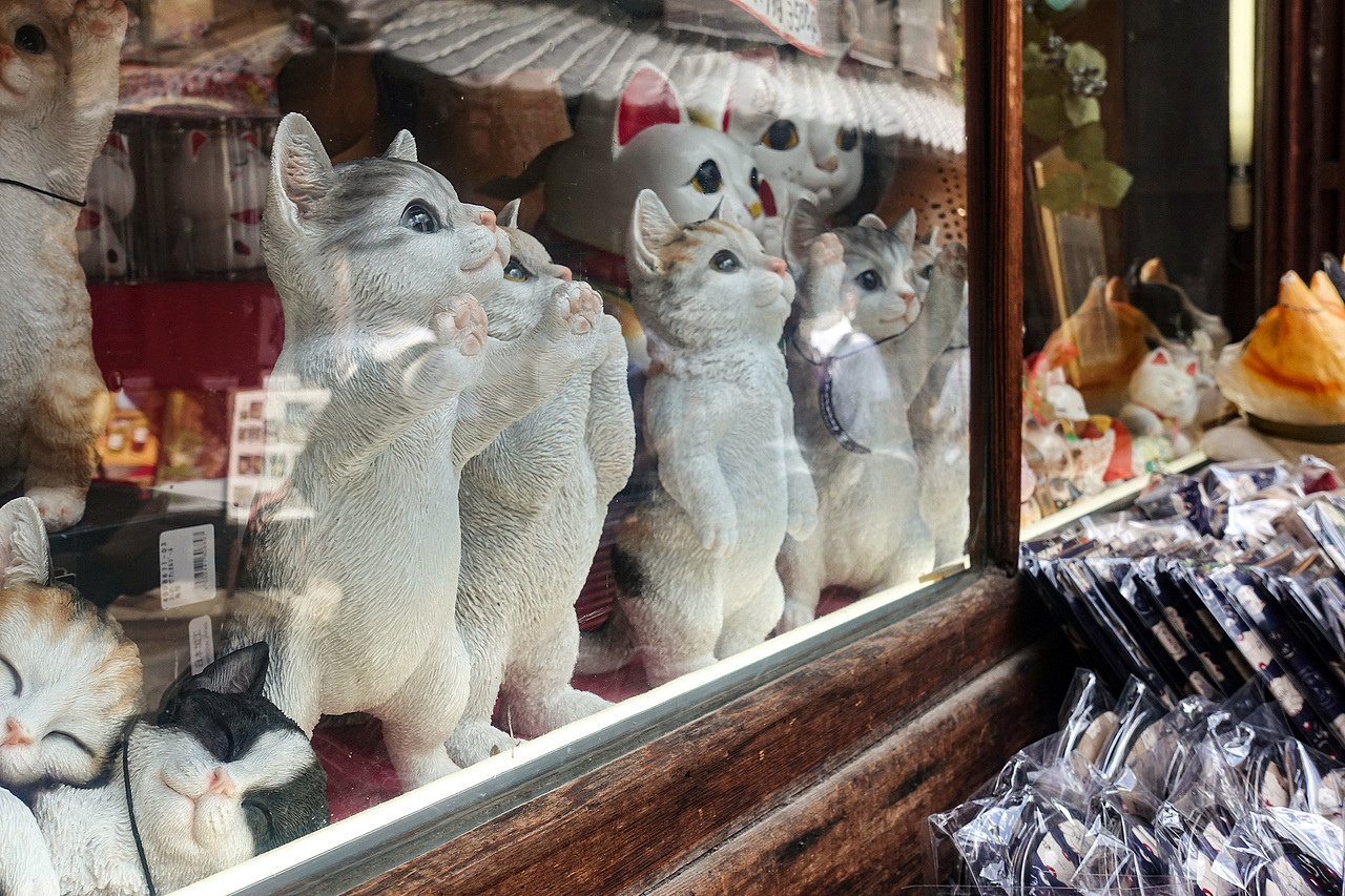京都|鸭川|二年坂三年坂|八坂神社