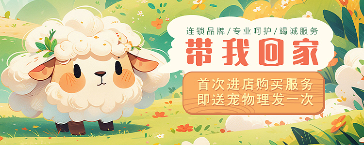 aigc寵物店banner（圖ZMzYyNzQyNzk2） - AI作品 - 站酷設(shè)計師我就叫濁清原創(chuàng)素材 - 站酷ZCOOL