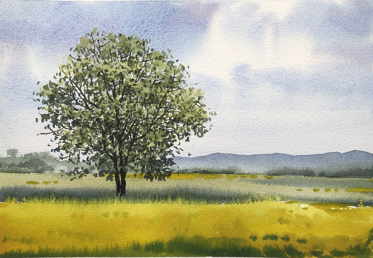 水彩风景——夏树生非花(2022 夏日里的树先生们)