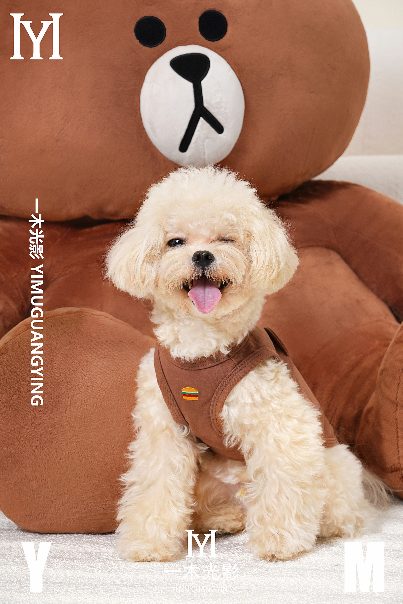 一木光影——yoomi品牌宠物用品拍摄