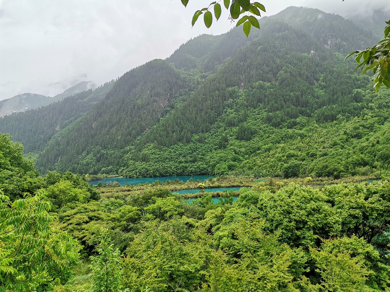 五彩缤纷九寨沟(下)