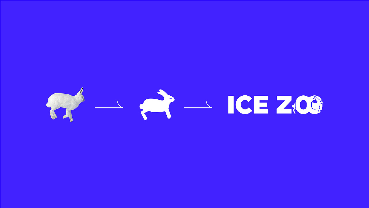 ICE ZOO | 冰淇淋VI | 设计 ✖ 虎蛟
