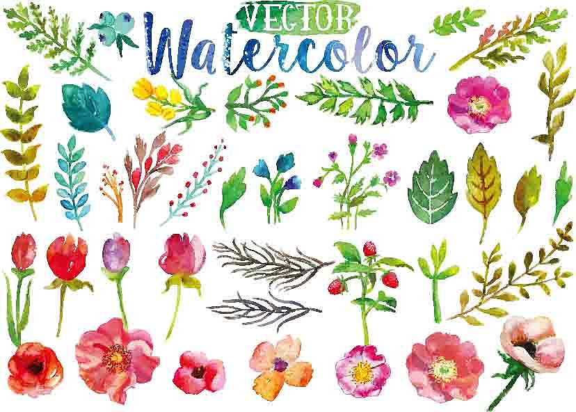 手绘水彩植物矢量图插画热带风情