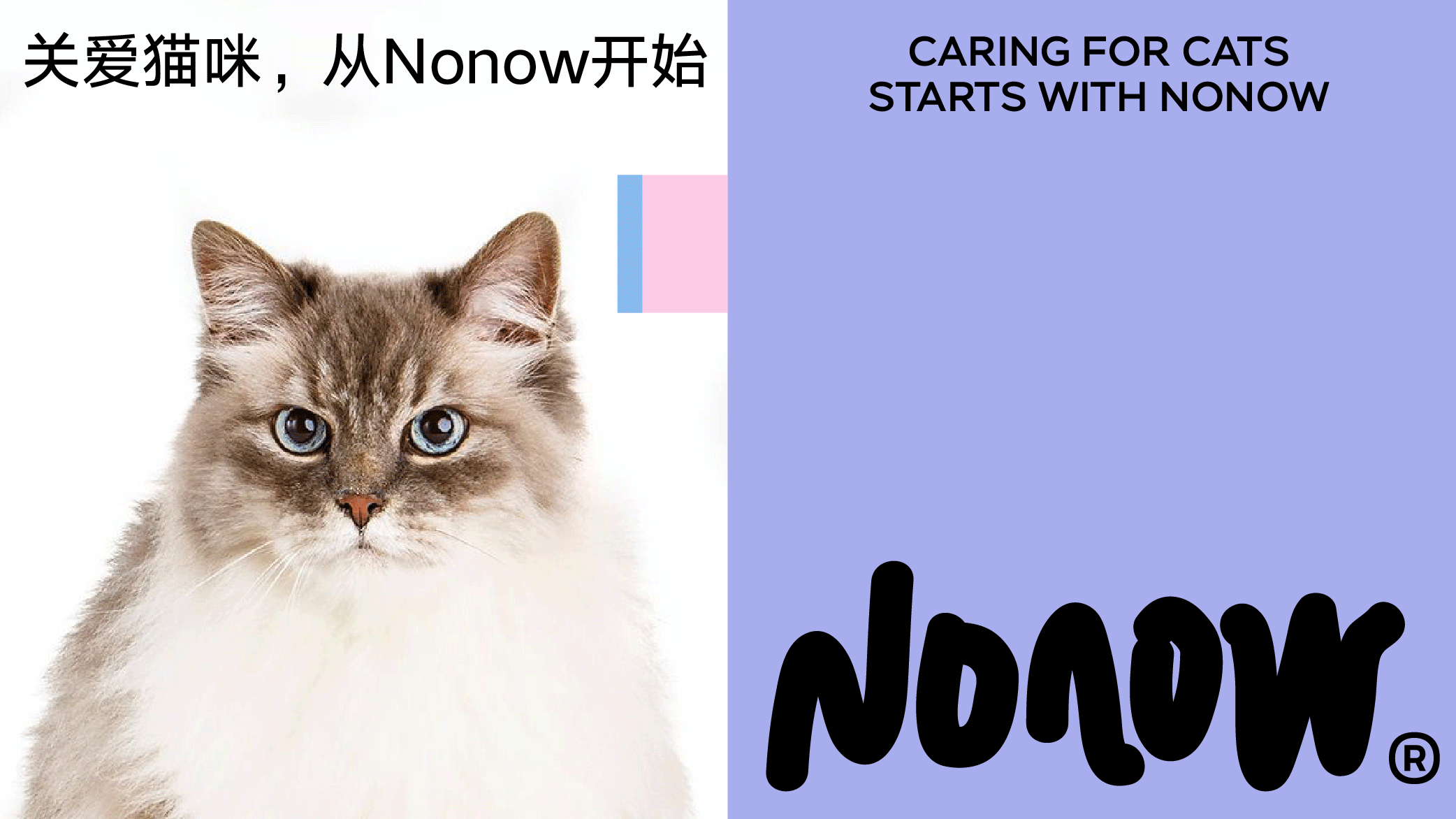 Nonow 宠物猫粮品牌设计 | 狗粮 宠物用品品牌包装设计