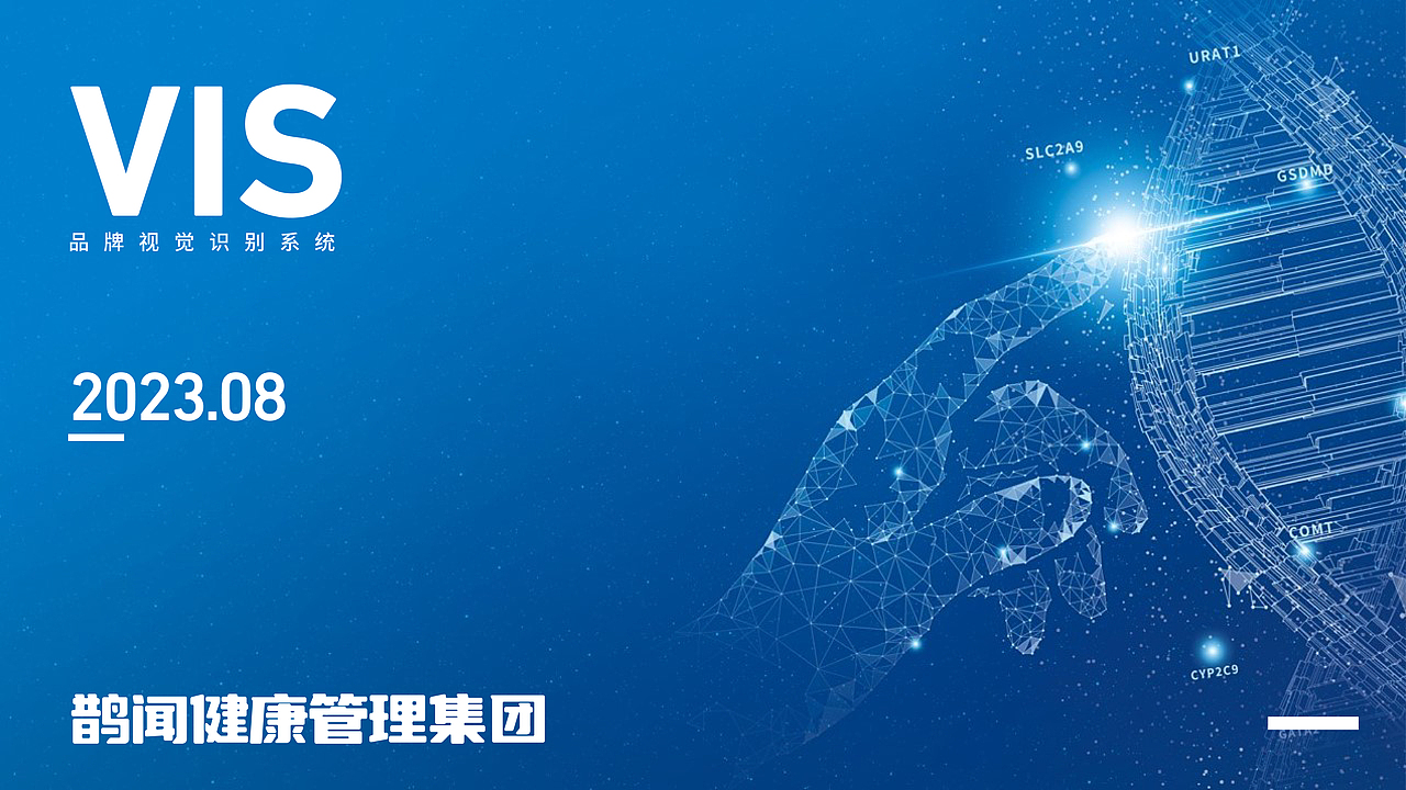 大健康行业VI提案