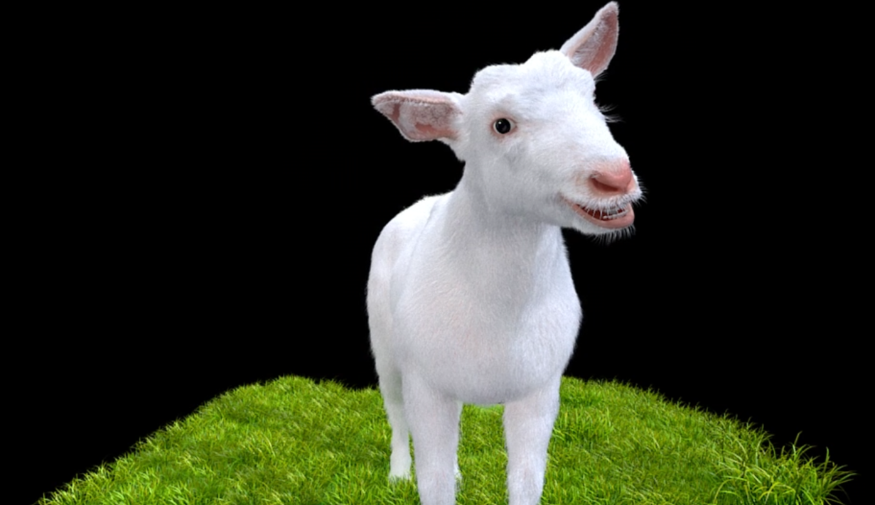 可爱奶羊动画