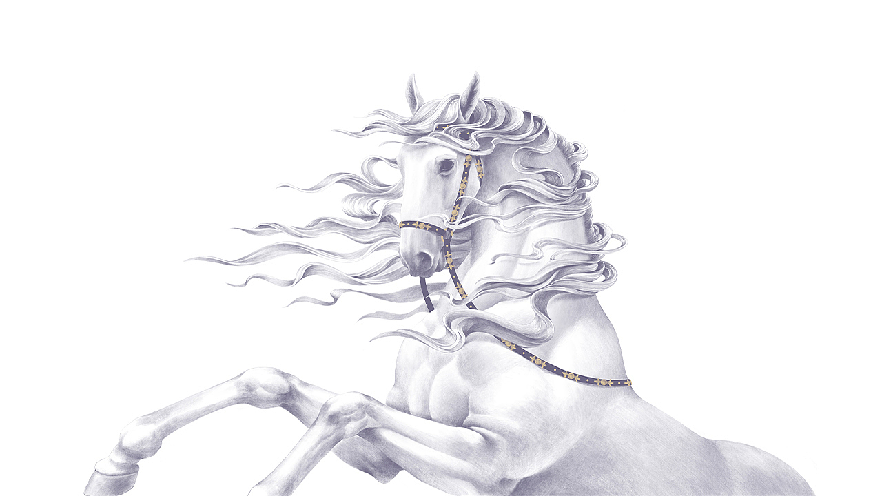 张裕派格尔·白马 白兰地酒包装设计