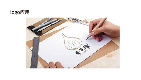 LOGO设计案例|圣果缘logo（已用）（图ZMzYwMzM2ODk2） - Logo - 站酷设计师扬扬爱吃瓜原创素材 - 站酷ZCOOL