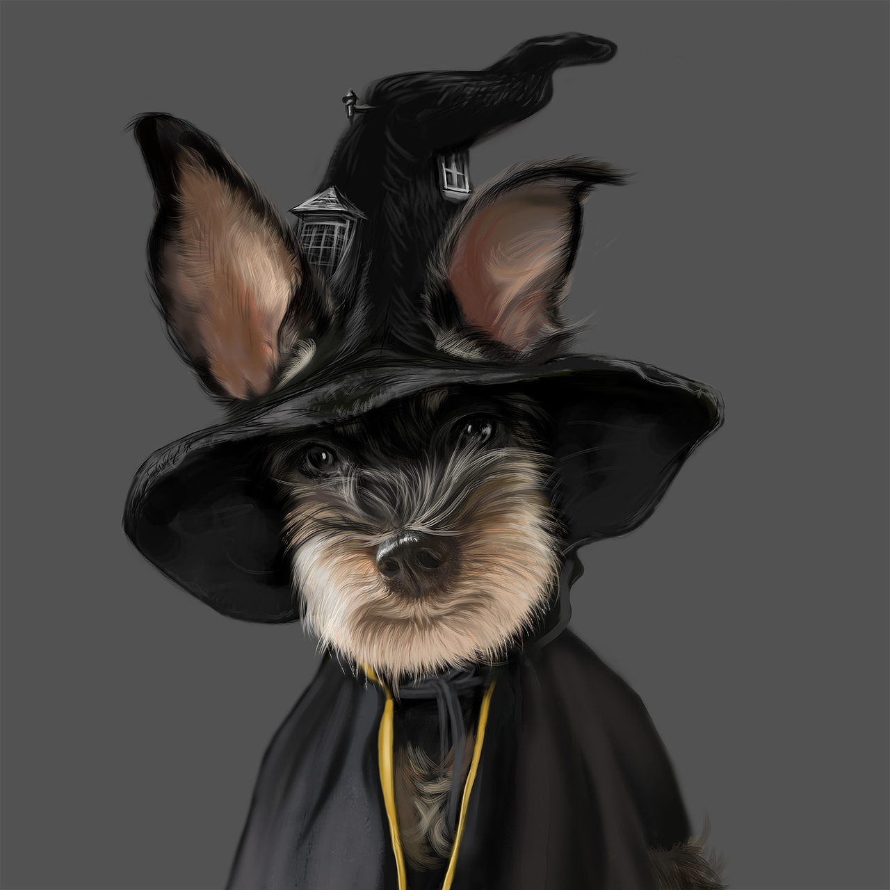 原始寵愛 X 哈迷瘋子 狗糧貓糧（圖ZMzM1NzQ4MzIw） - 包裝 - 站酷設計師上智誠品牌原創(chuàng)素材 - 站酷ZCOOL