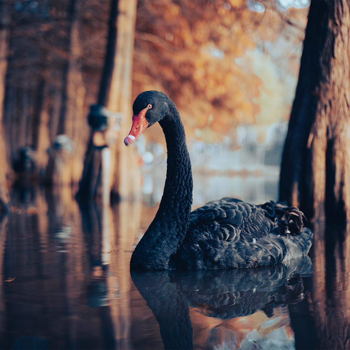 凛冬将至（图ZMzIzODcxNzMy） - 风光摄影 - 站酷设计师oneQ原创素材 - 站酷ZCOOL