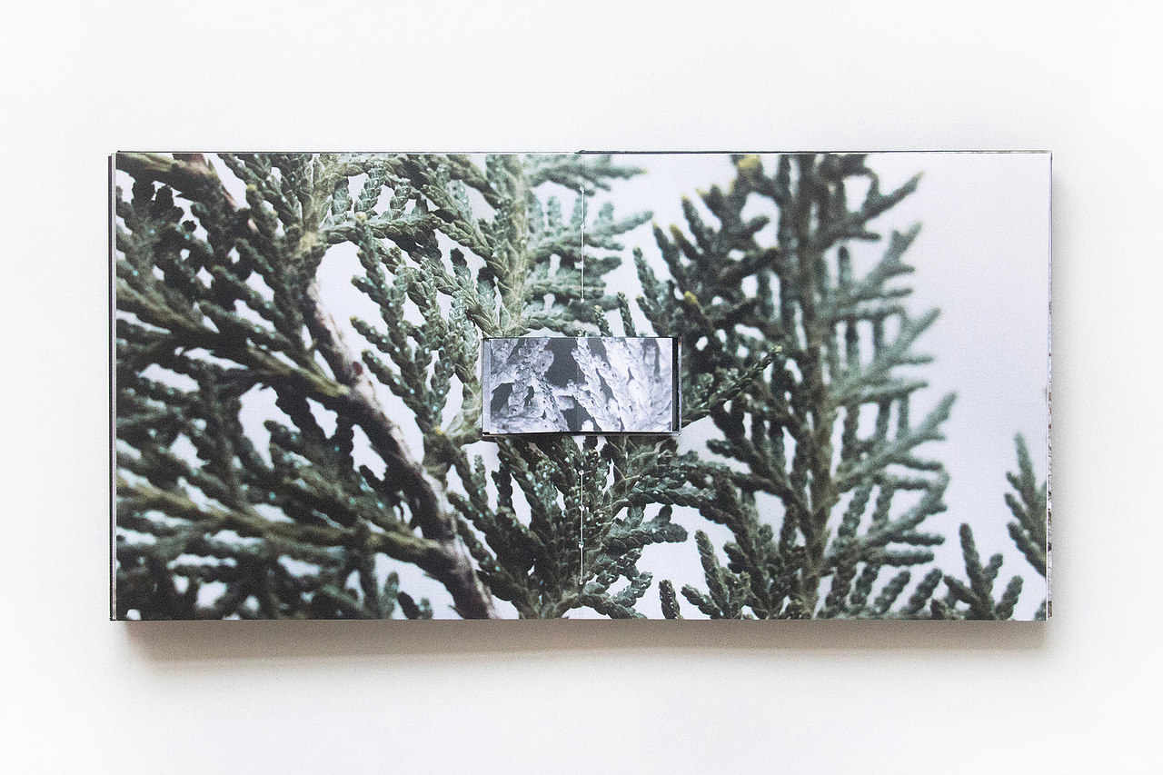 設計分享/未知死,焉知生