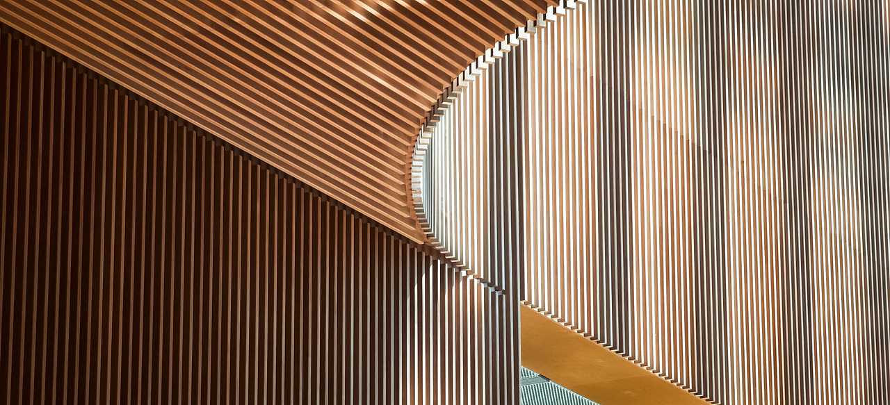 手机摄影 I 小米14Ultra I 上海图书馆东馆📚