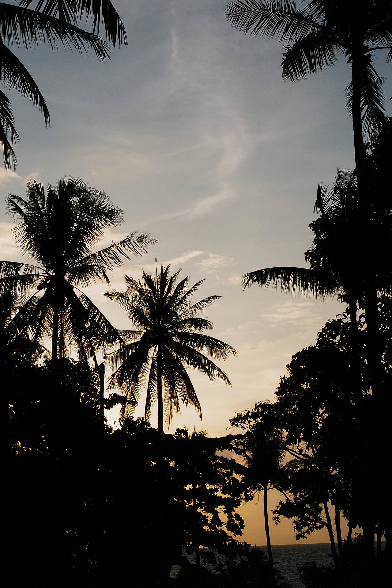 普吉岛的随拍记录