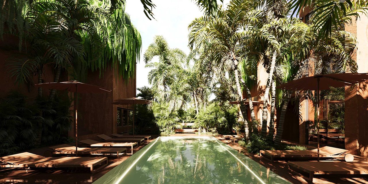 藏身在雨林的餐廳