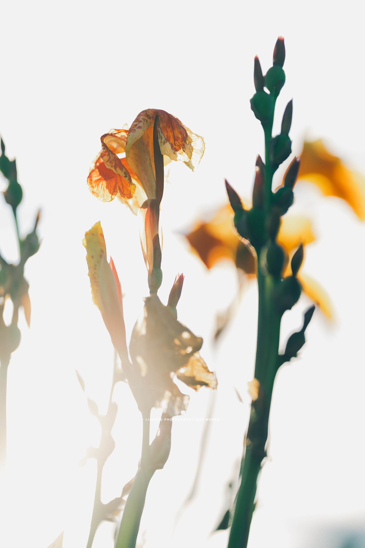 旅行摄影流水帐|镜头里的秋（图ZMzUzMDI5MjA4） - 人文/纪实摄影 - 站酷设计师雪小廖原创素材 - 站酷ZCOOL