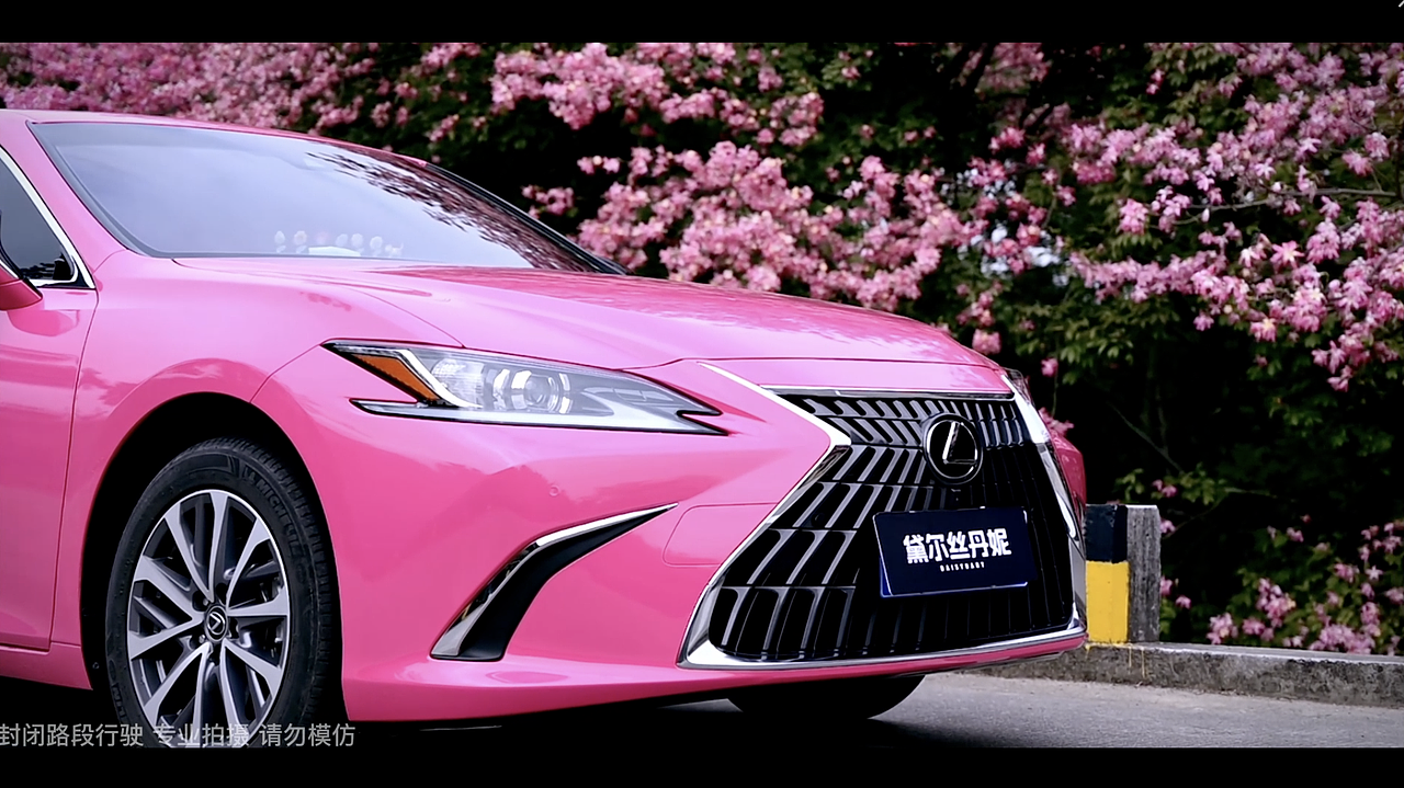 Daisydany汽车改色抖音短片制作