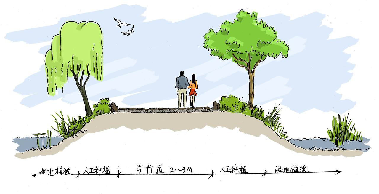 济宁湿地-2018年的稿