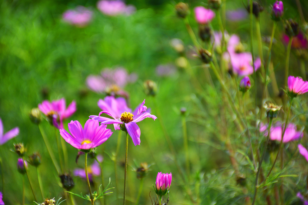 个人摄影作品集