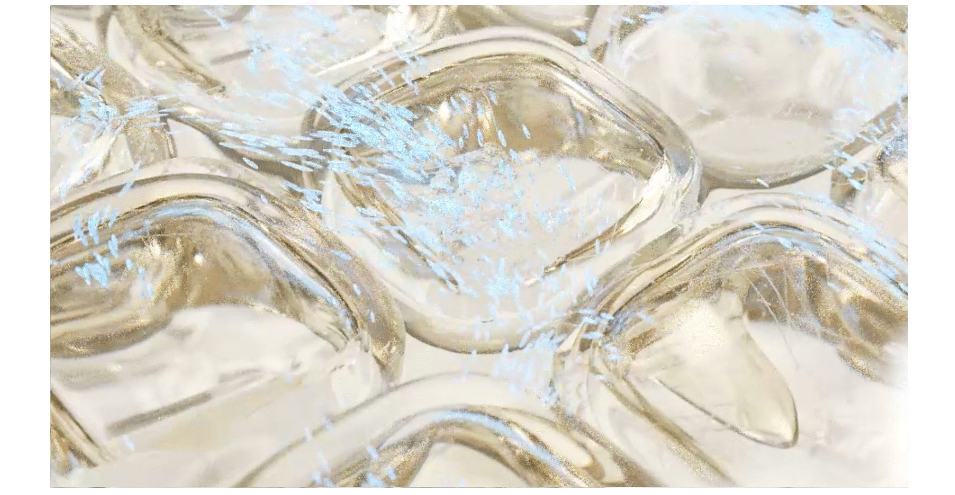 时献 RATIO X 柔光精华油霜CG案例分享