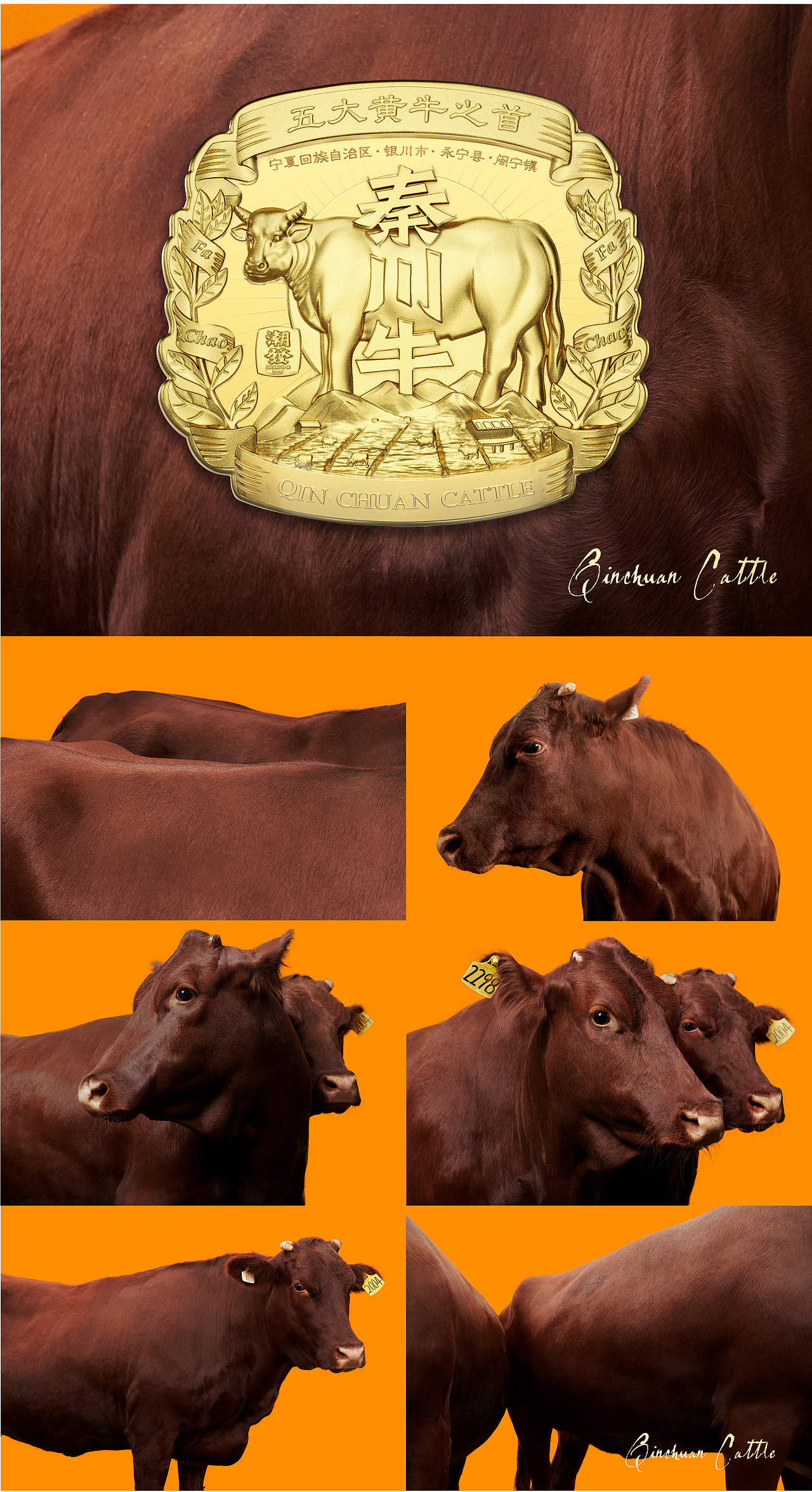 潮发|潮汕牛肉品牌如何在广州大本营红海竞争中突围?