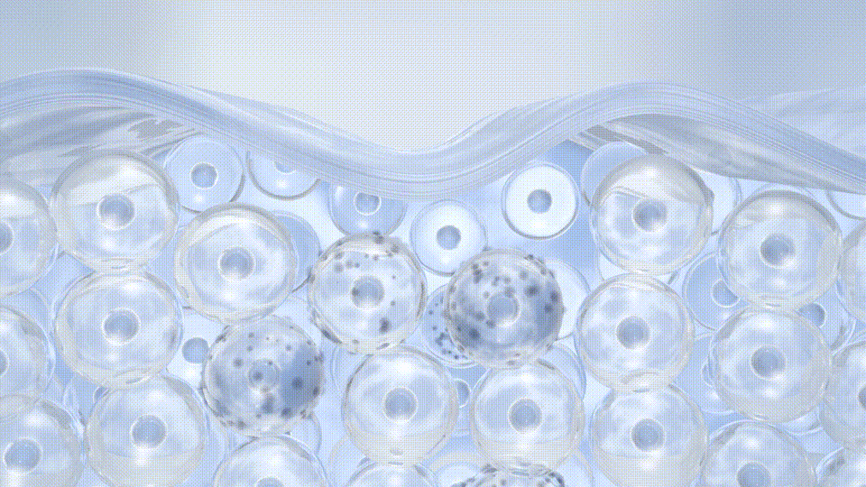 产品视频丨VCC汀泊雅精华液