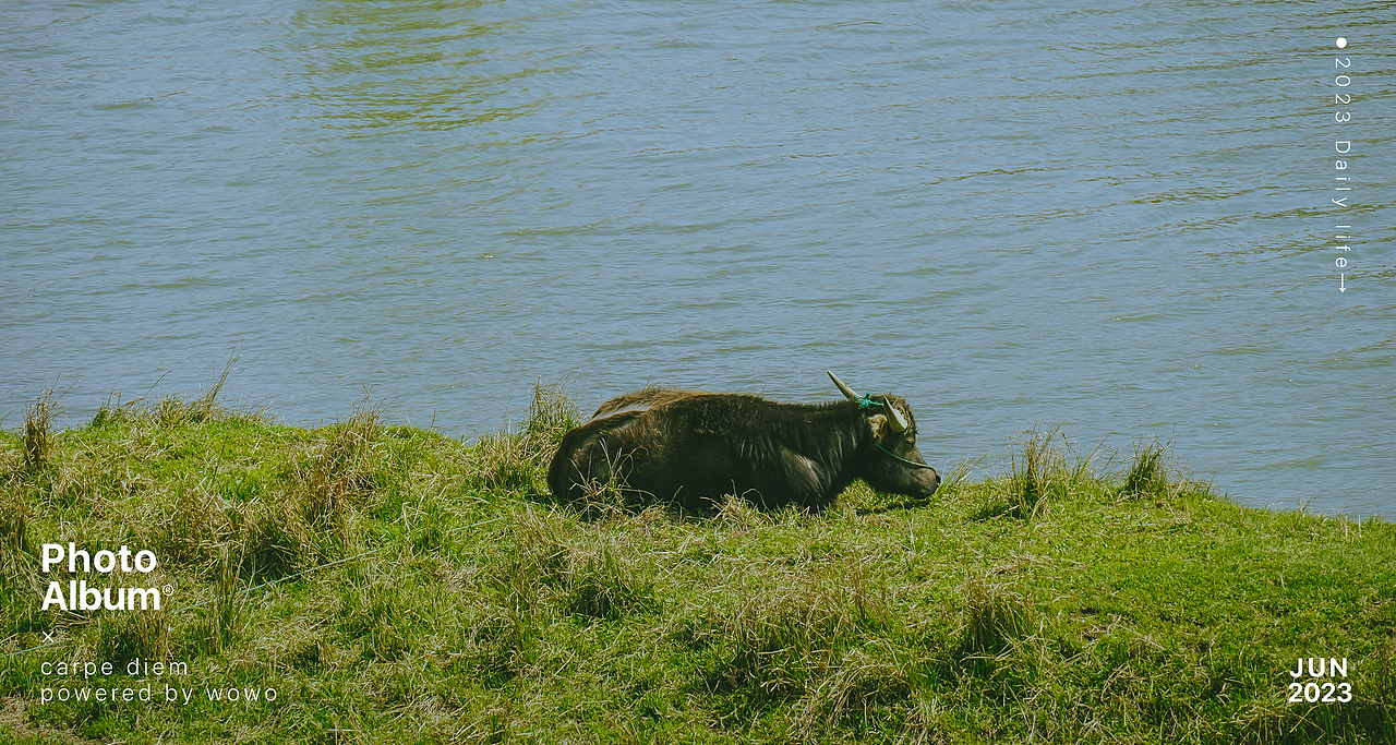3月 | 阳光骑行油菜花（图ZMzQ3NzAxNDY4） - 风光摄影 - 站酷设计师wow0原创素材 - 站酷ZCOOL