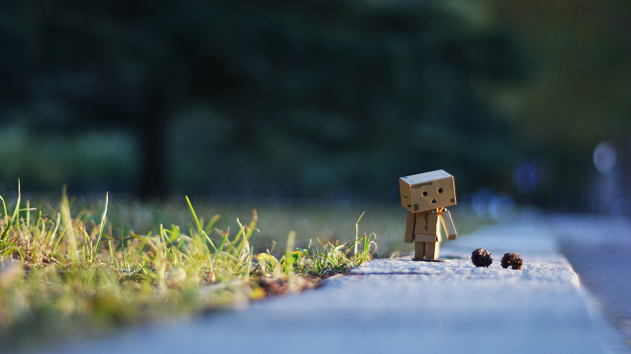 个人摄影作品集