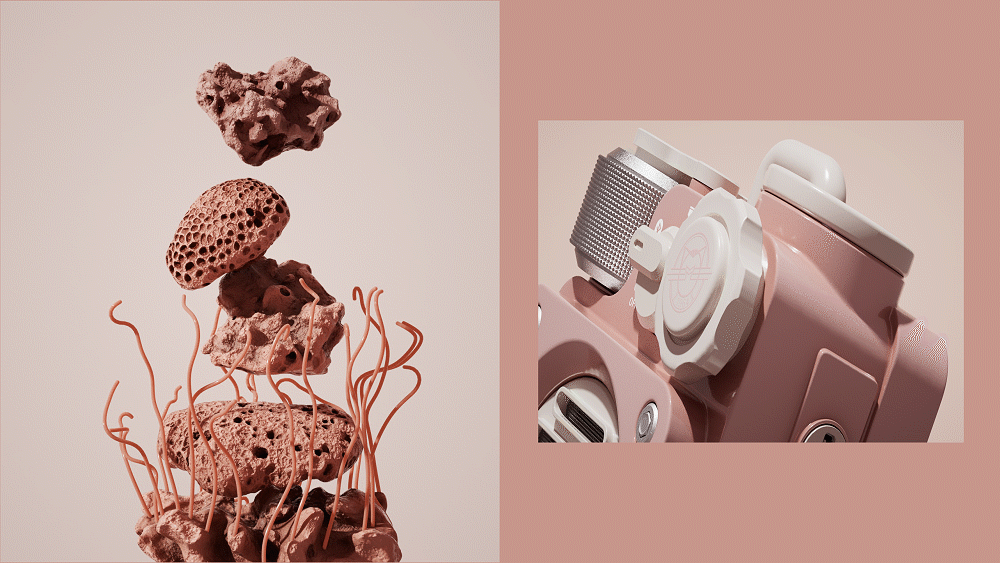 猫王音箱三维动画FxB