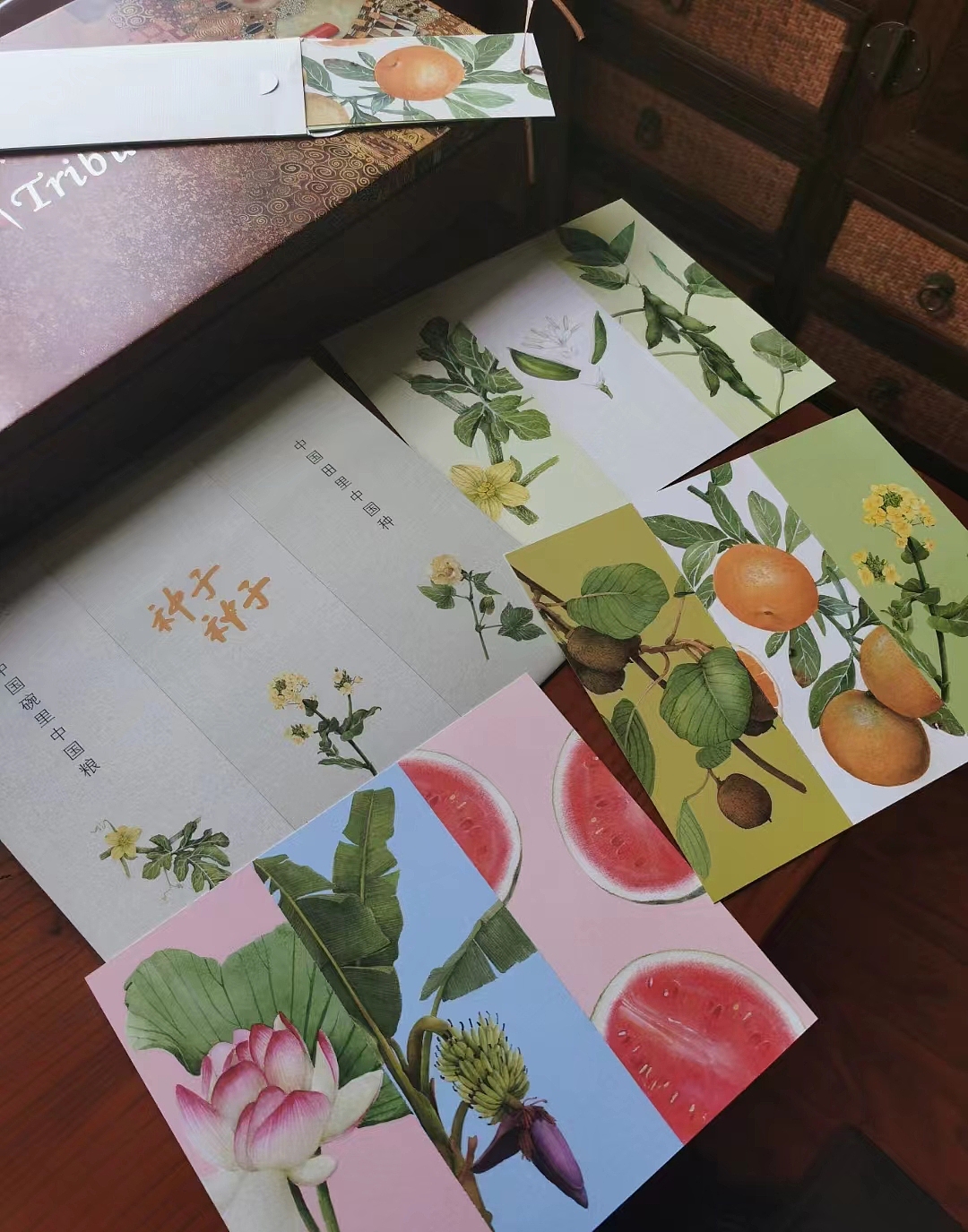 之前给中央电视台画的图书《种子 种子》出版