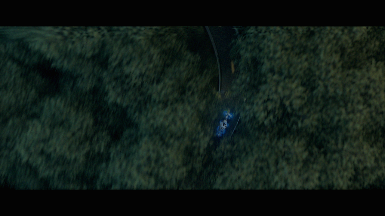 Lycoris Recoil Itasha F1 Racing