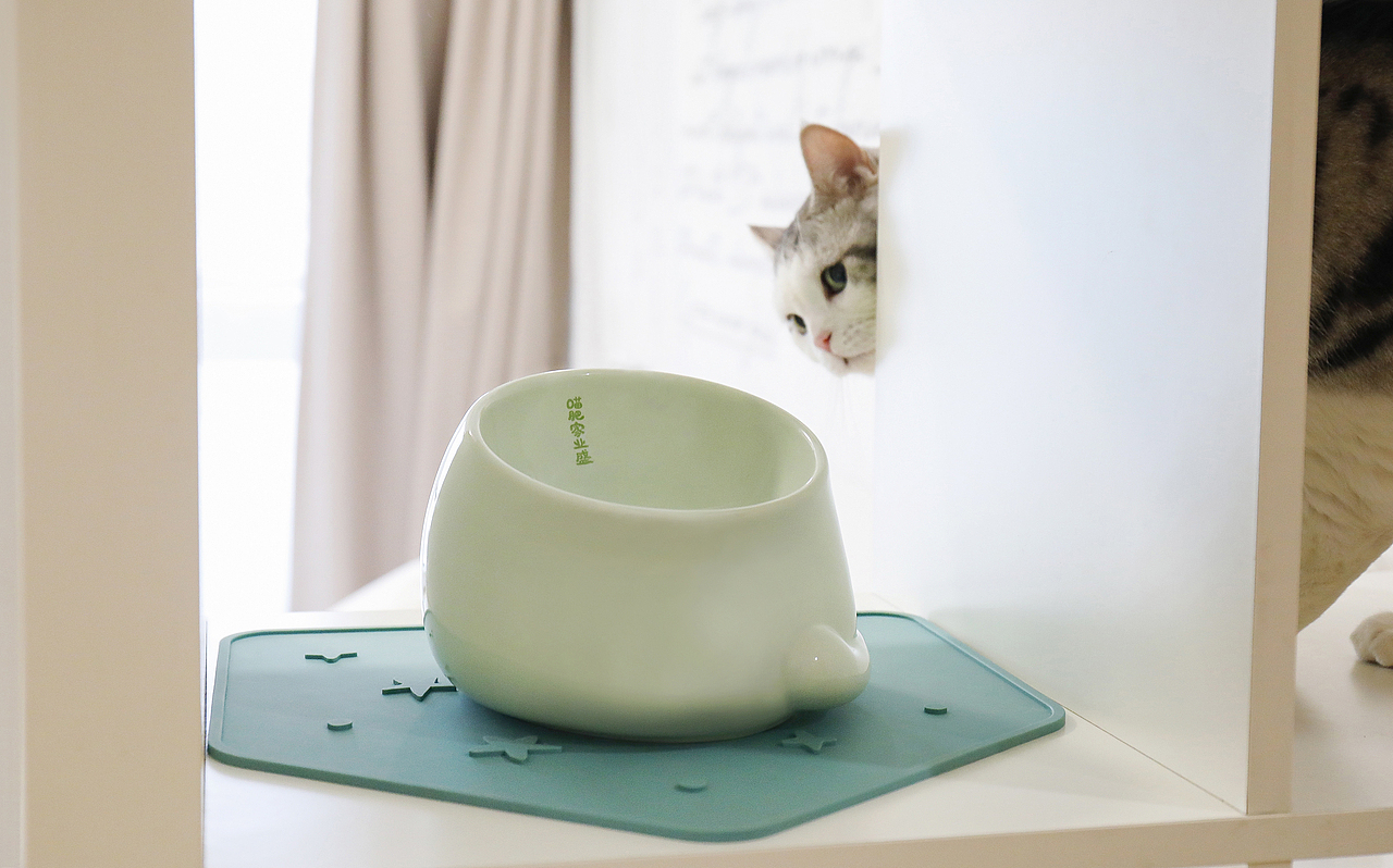 猫咪餐具拍摄-宠物与产品的互动