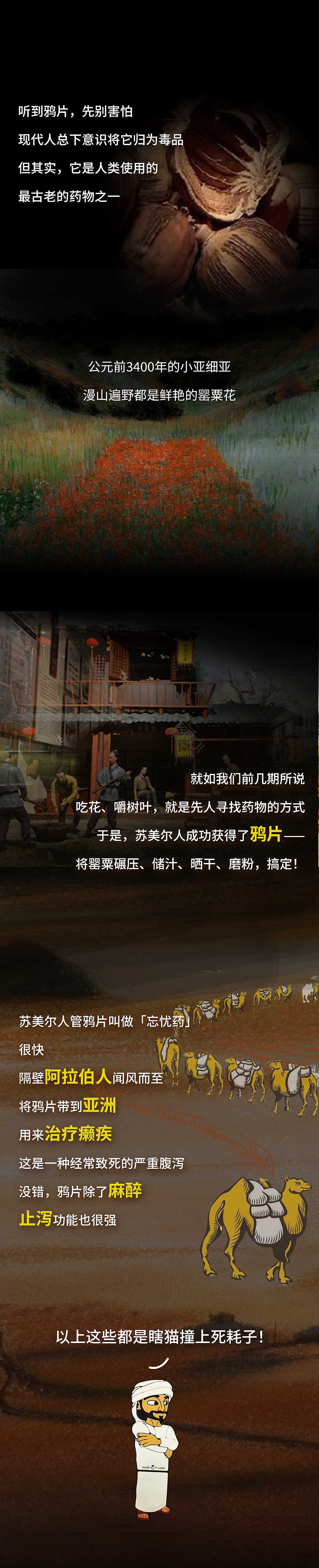 公众号长图文&小药丸系列之维柯丁