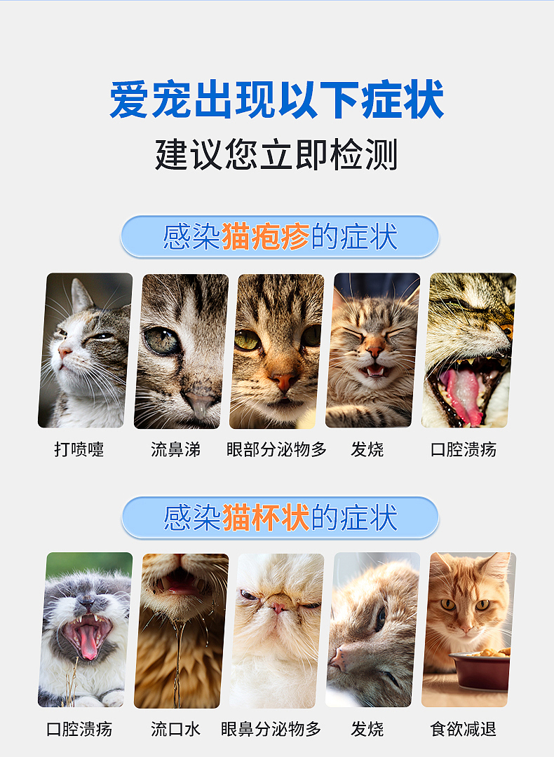 潘道生物 宠物检测产品 | 猫呼吸道4项核酸检测