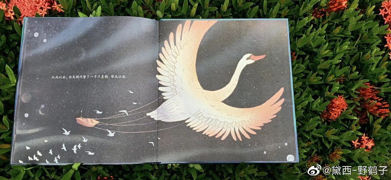 银河摆渡人，出版了（图ZMzA0NTQyODUy） - 绘本 - 站酷设计师黛西野鹤原创素材 - 站酷ZCOOL