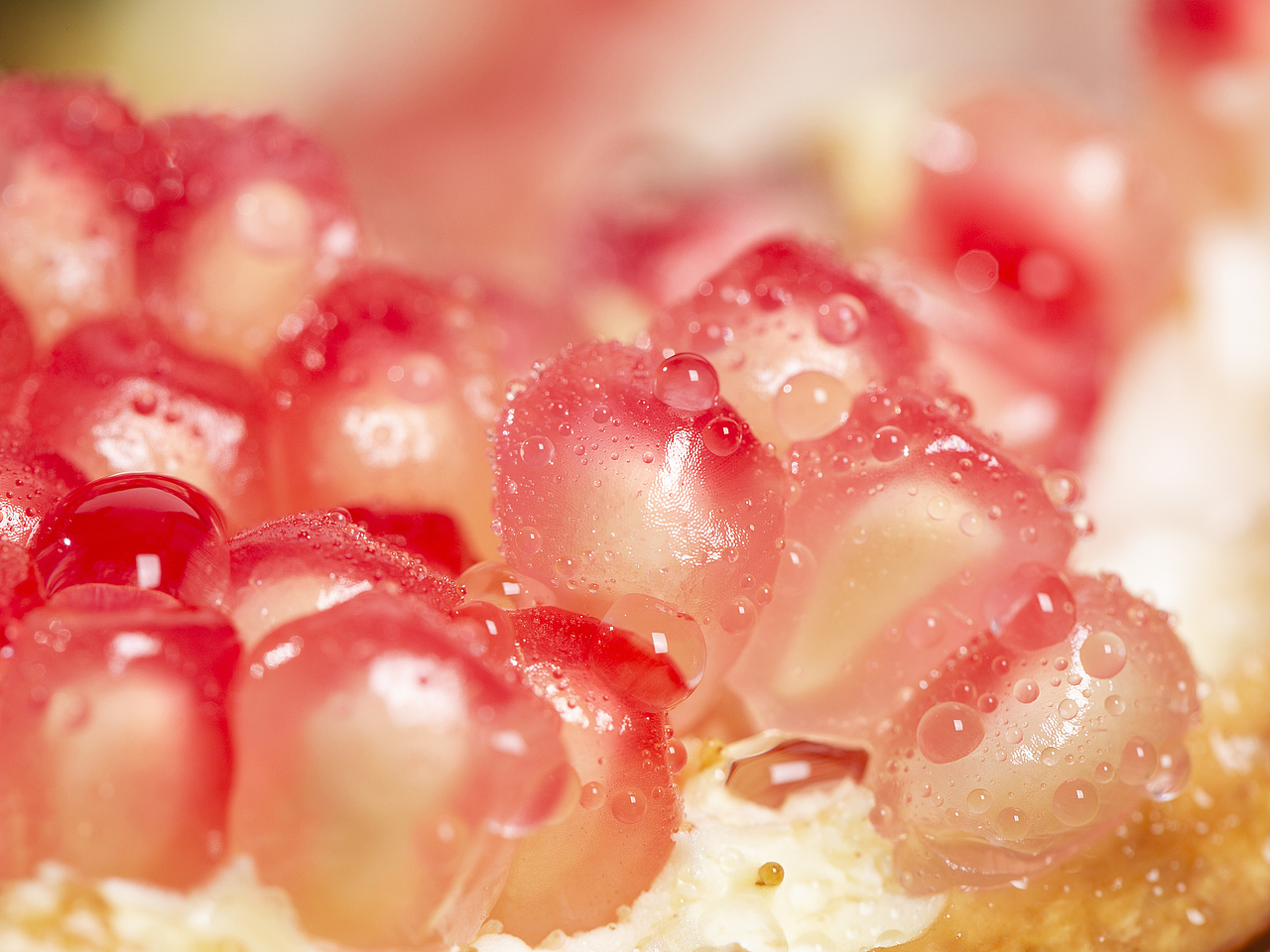 四川突尼斯红钻软籽石榴