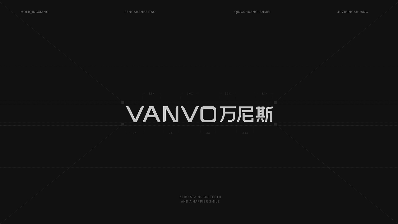 VANVO牙膏包装设计